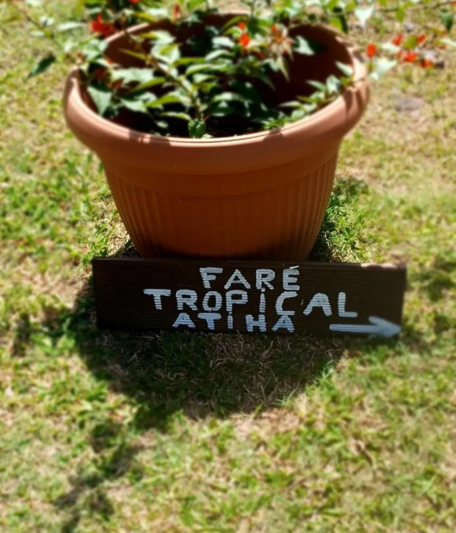 Fare Tropical Atiha Apartment Moorea
